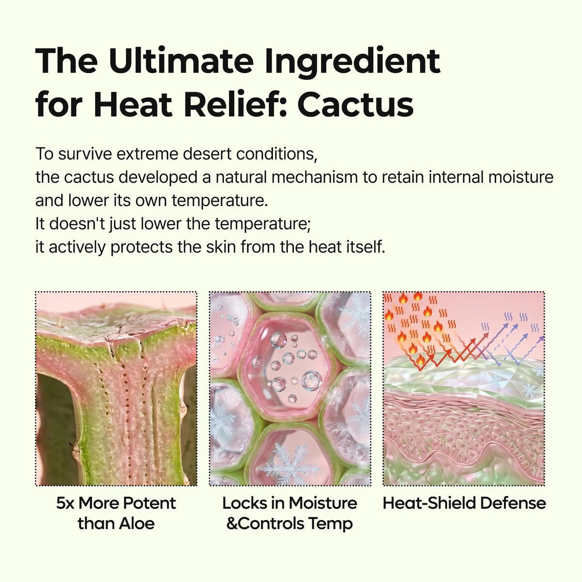 CACTOX PORE RELIEF MULTI BALM